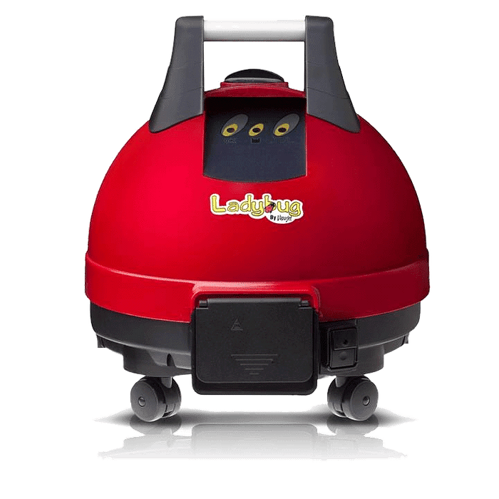 ladybug vacuum pool